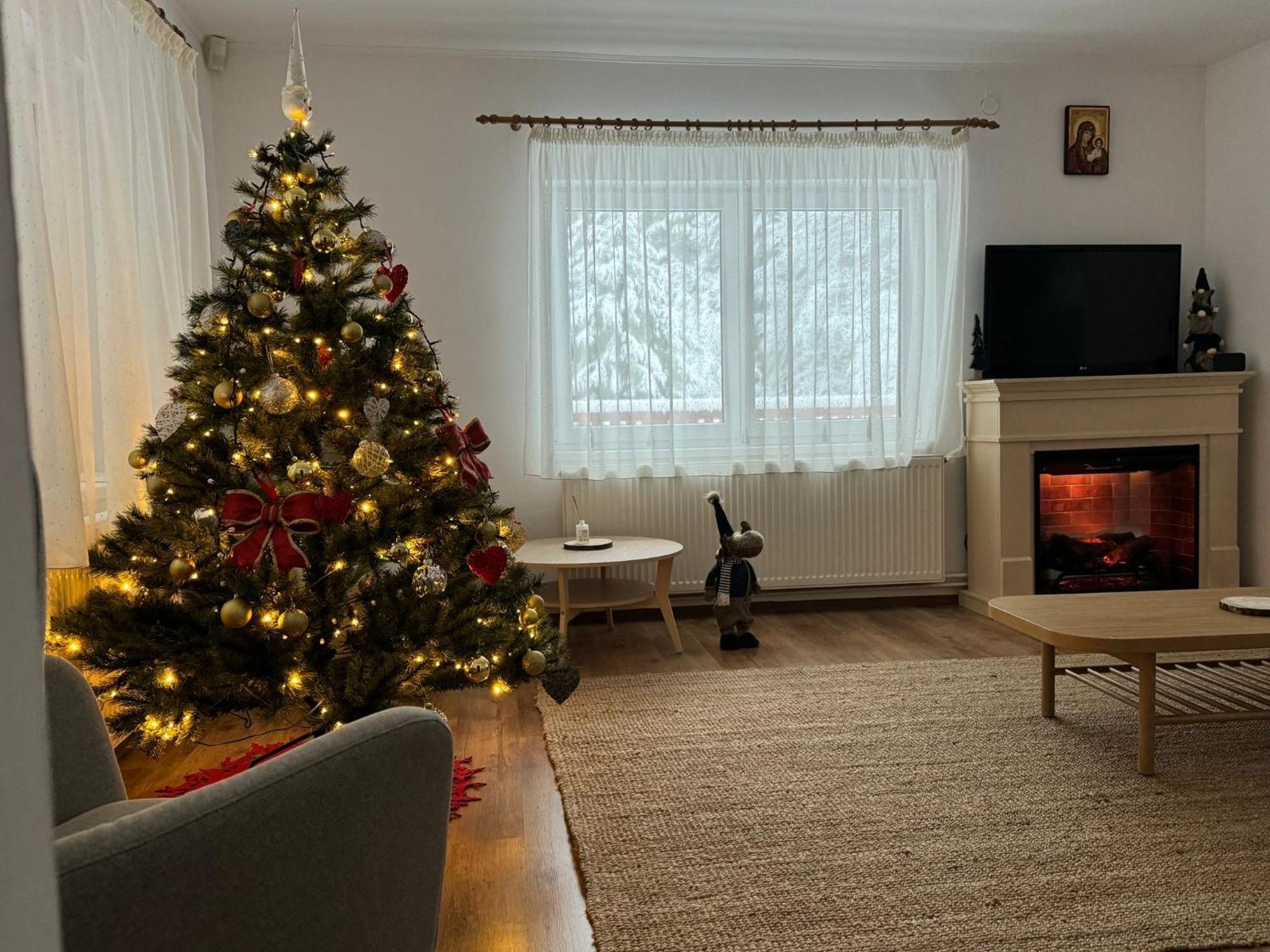 Zărneşti Cabana Zip מראה חיצוני תמונה